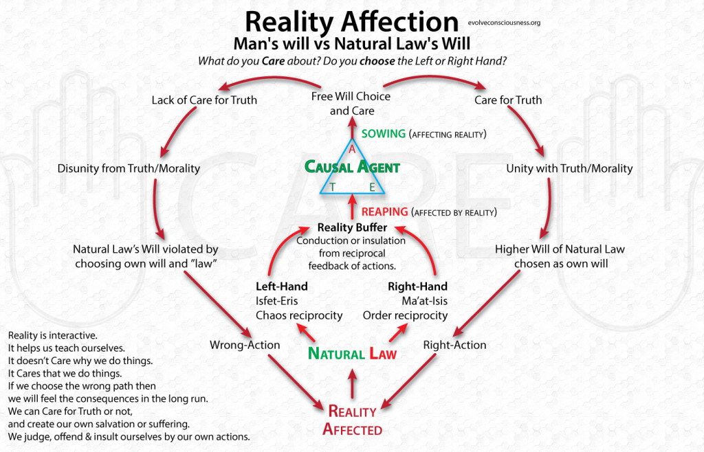 sentience vs consciousness